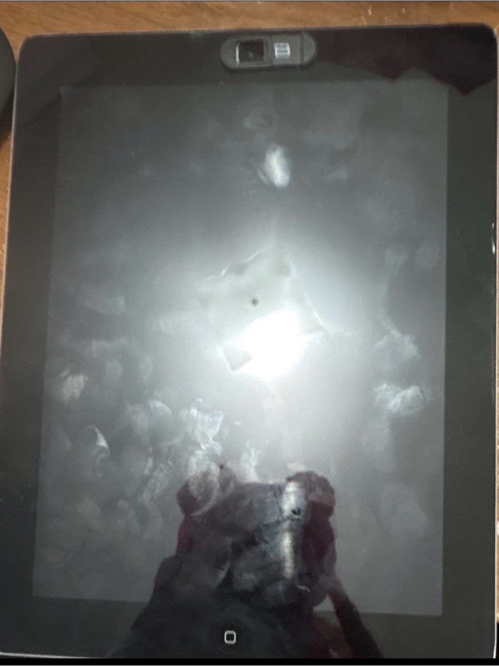 Apple iPad